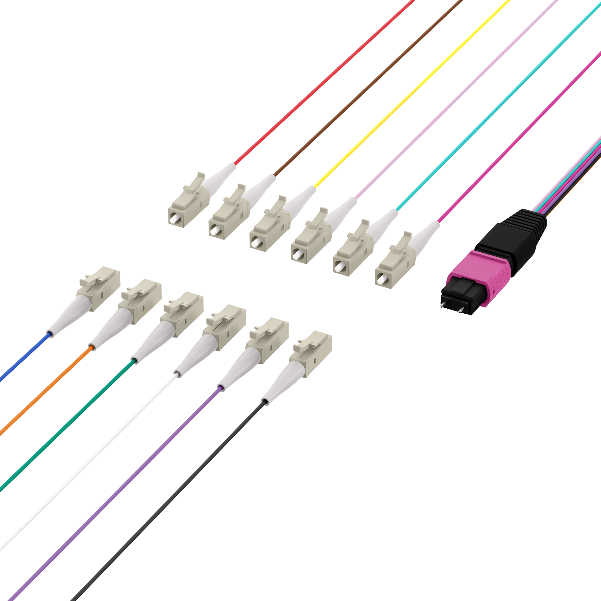 MTP®(M)-LC Fanout cable OM4 12 fibers Typ B LSZH erica-violet 1m