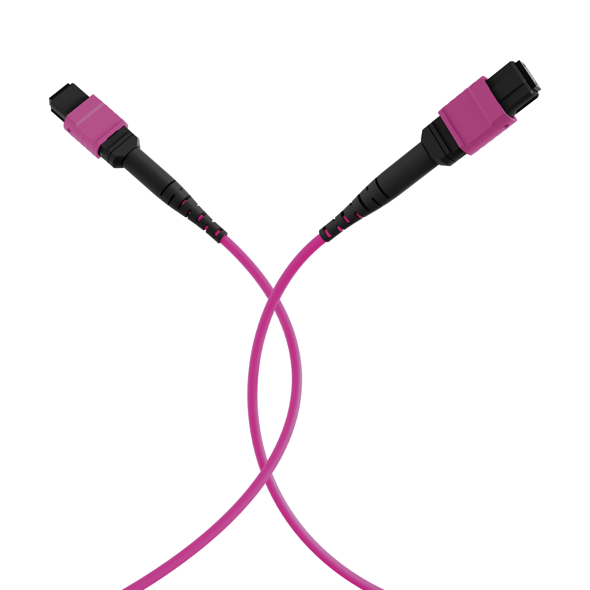 MTP®(F)-MTP®(F) Patch cable OM4 72 fibers Typ A LSZH erica-violet 10m