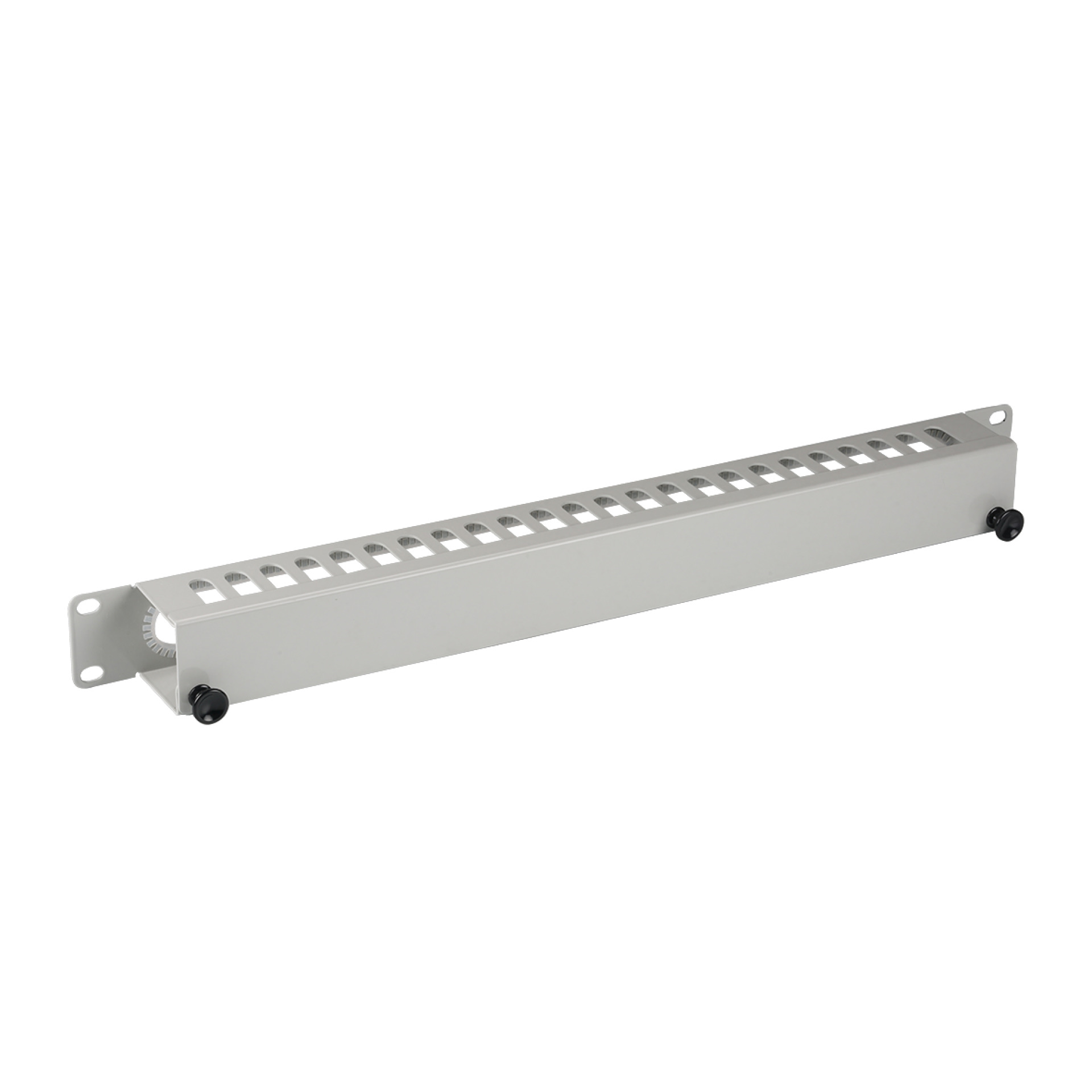 19" 1U Cable Routing Panel with Cover, RAL7035