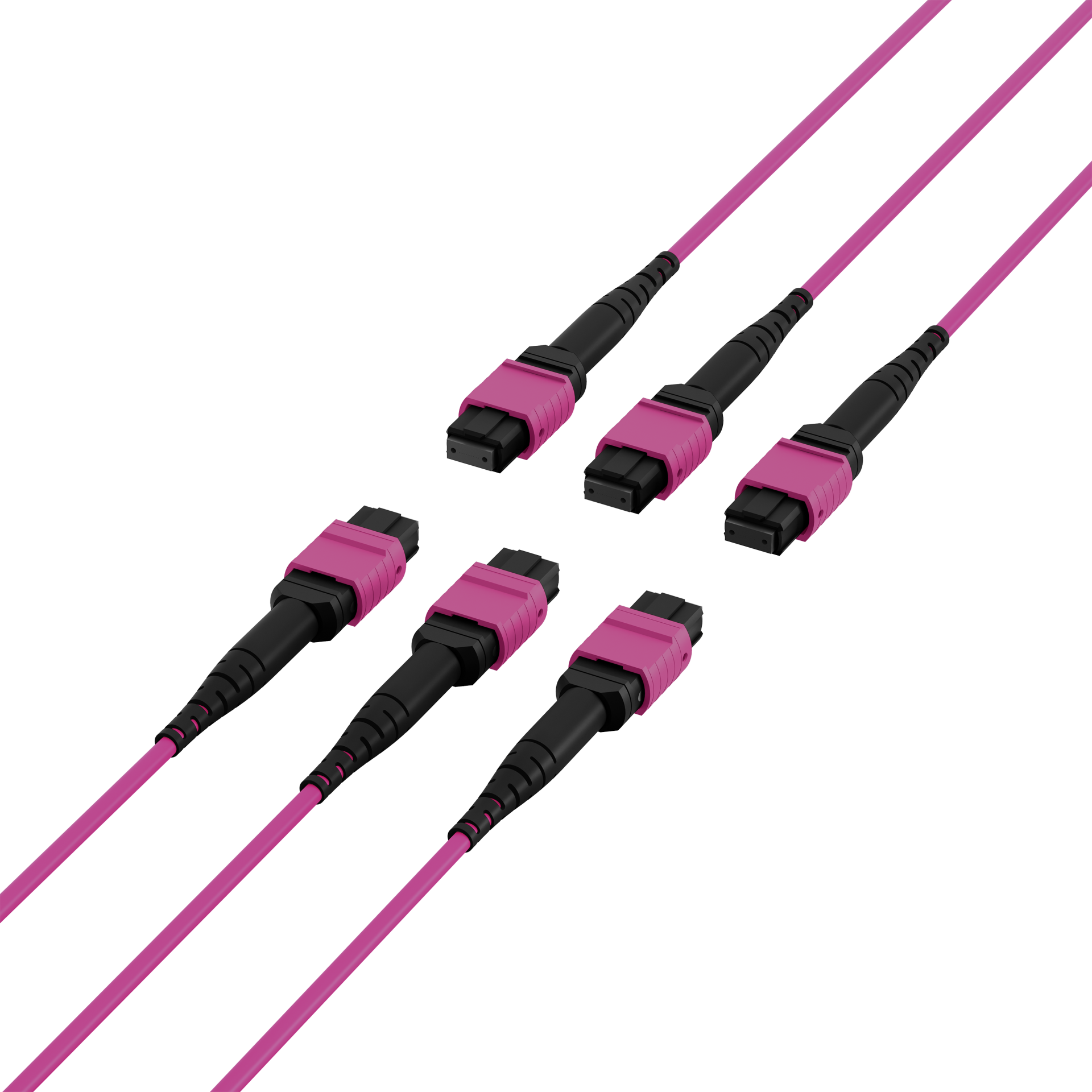 MTP®(F)-MTP®(F) Patch cable OM4 48 fibers Typ A LSZH erica-violet 30m