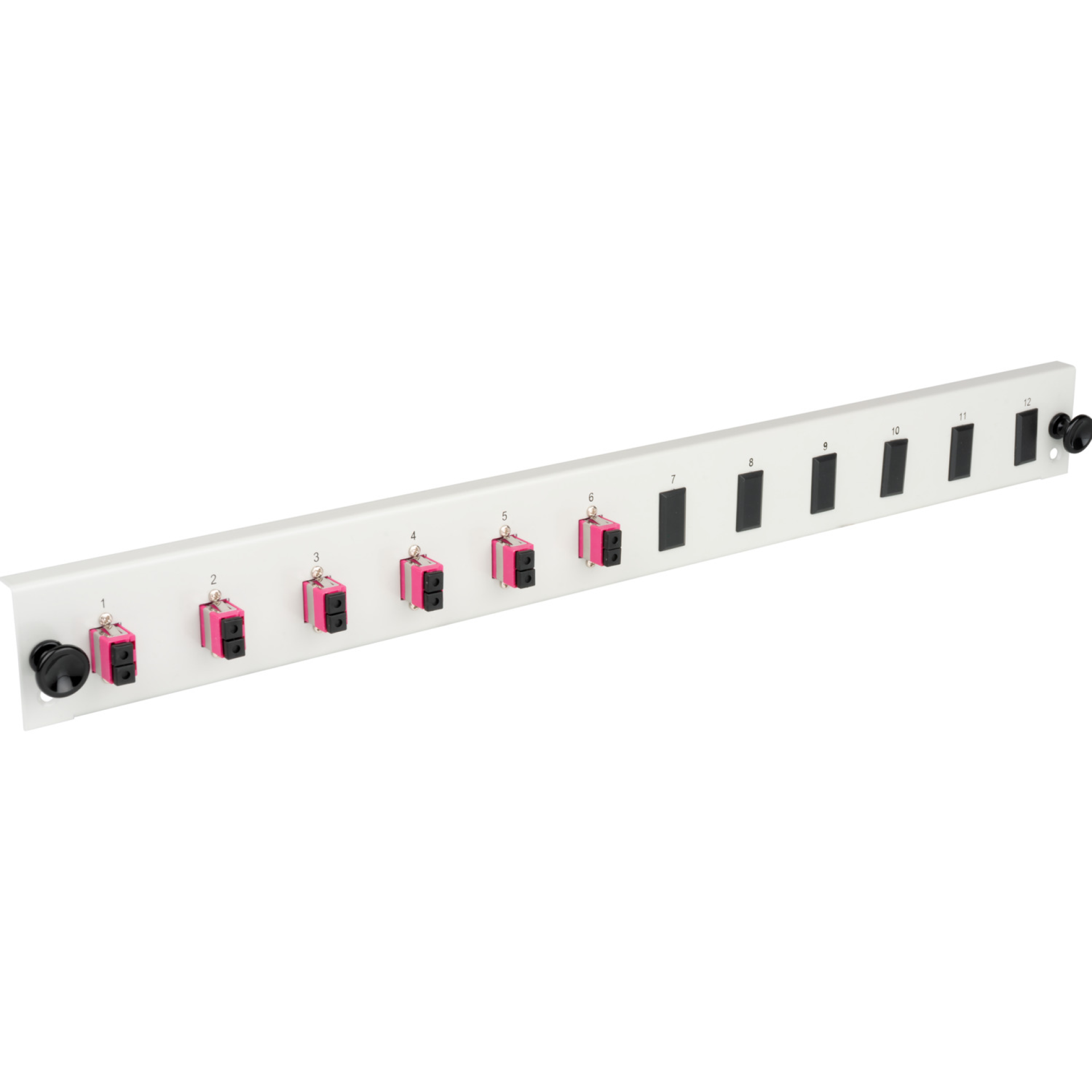 Equiped 12 Port Front Panel with 6 x LC Duplex Adapter OS2 vertical, grey