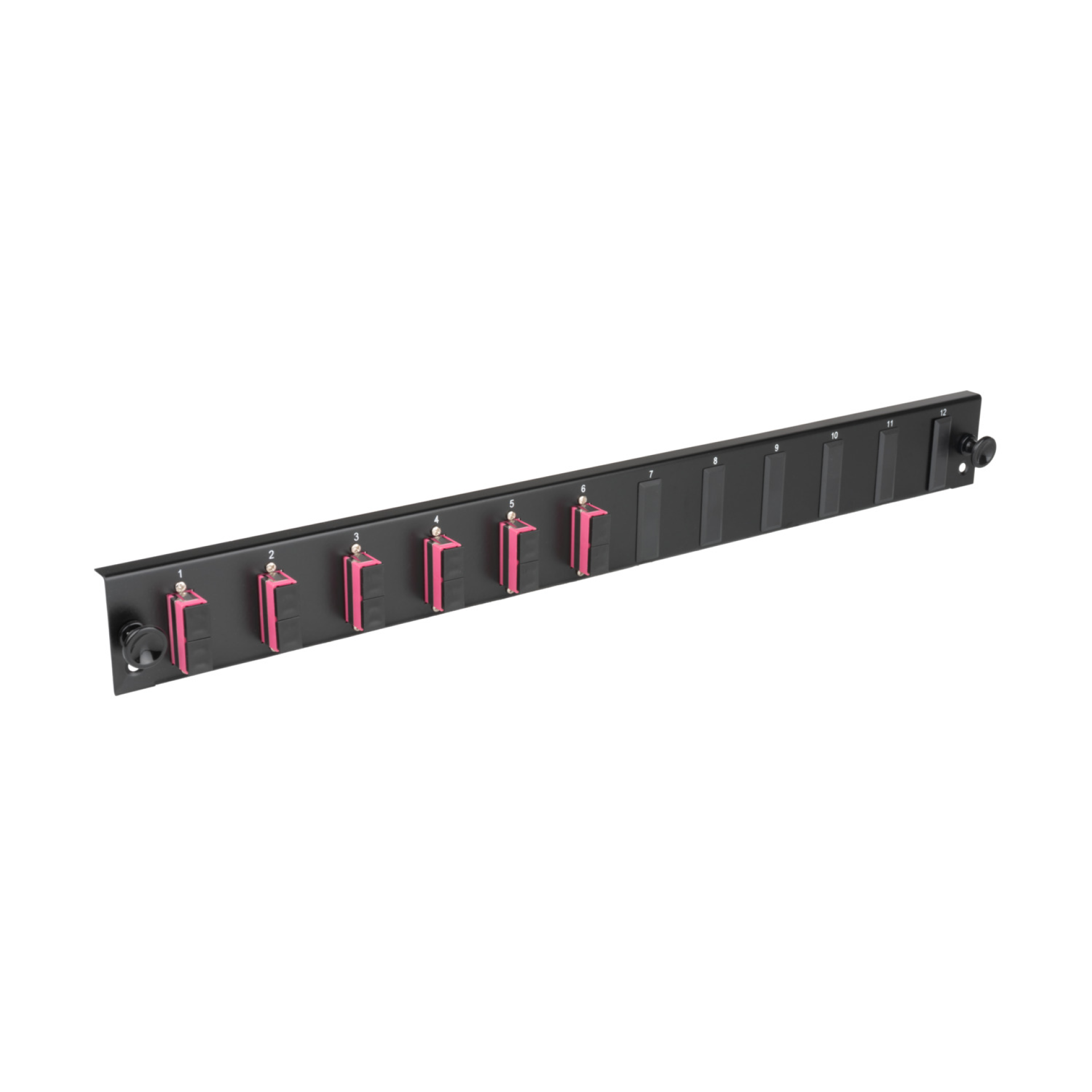 Equiped 12 Port Front Panel with 6x Duplex adapter OS2 vertical, black