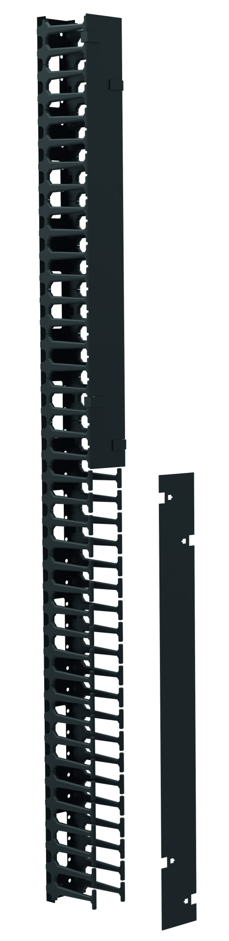 Vertical Cable Management for ESV 42U, 1 Piece, RAL9005