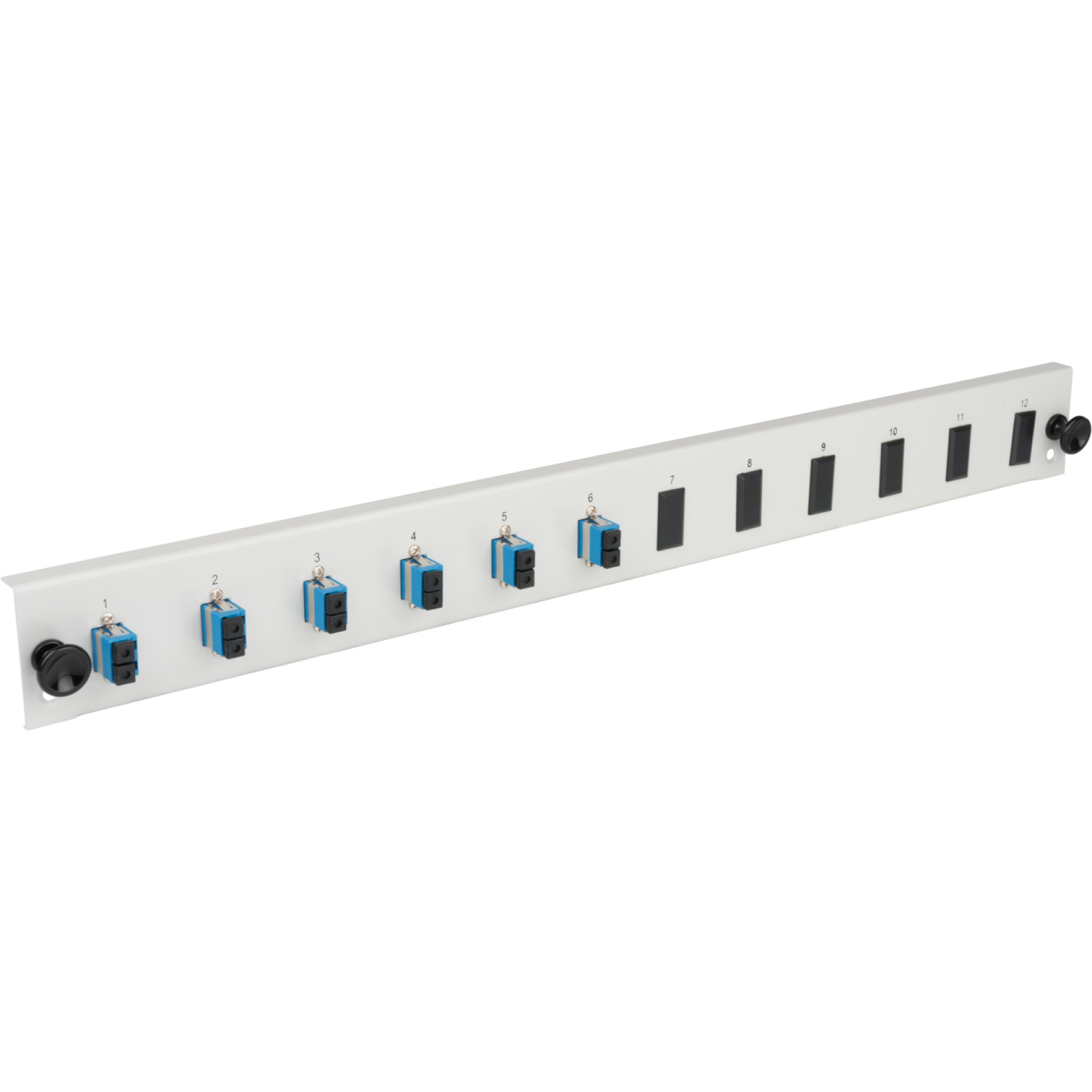 Equipped Front Panel with 12 x SC Duplex Adapter OM3 vertical, black