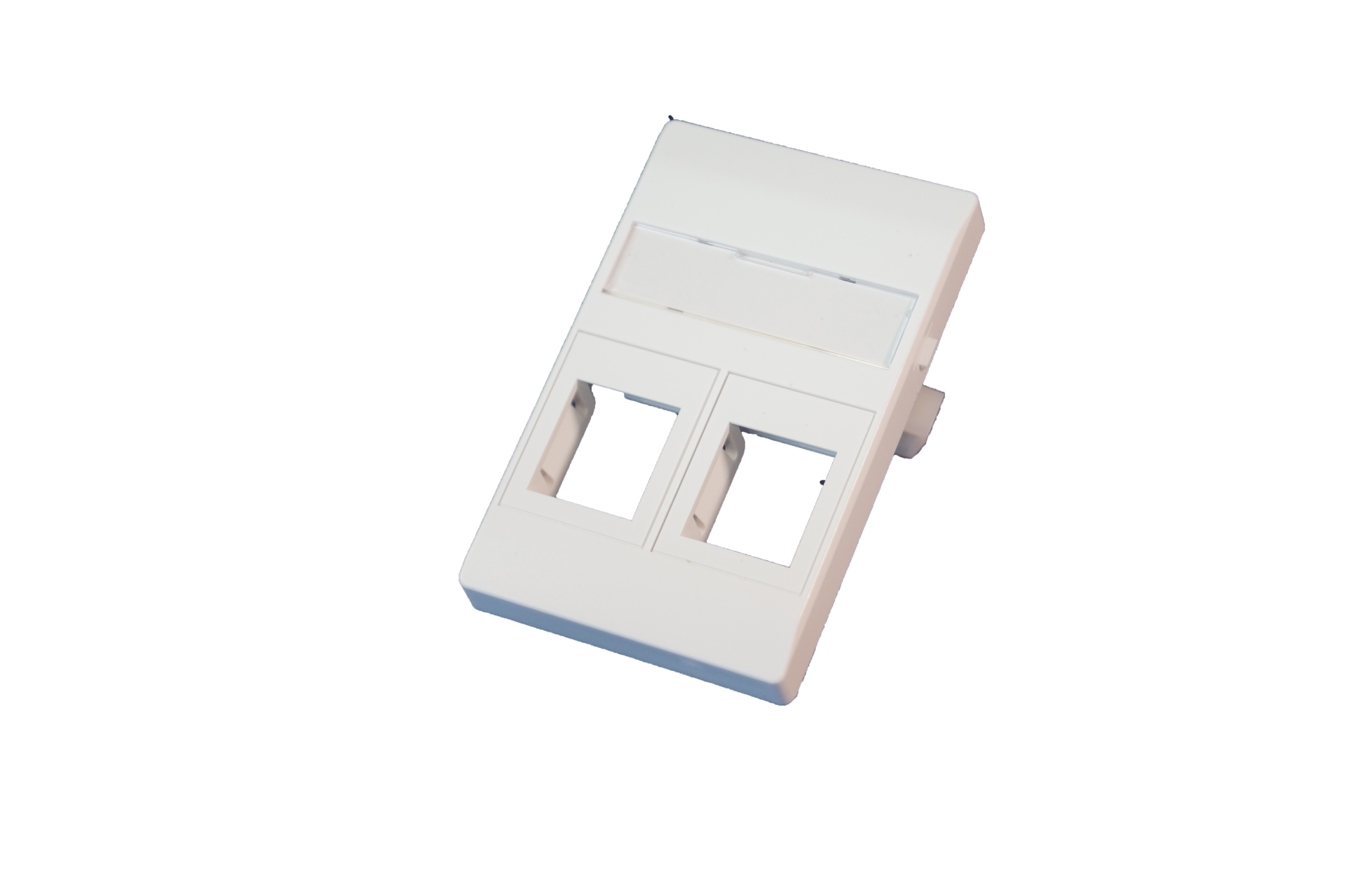 Dataoutlet 2xRJ45 Keystone Type F lightgrey Incl. mounting frame+large textfield