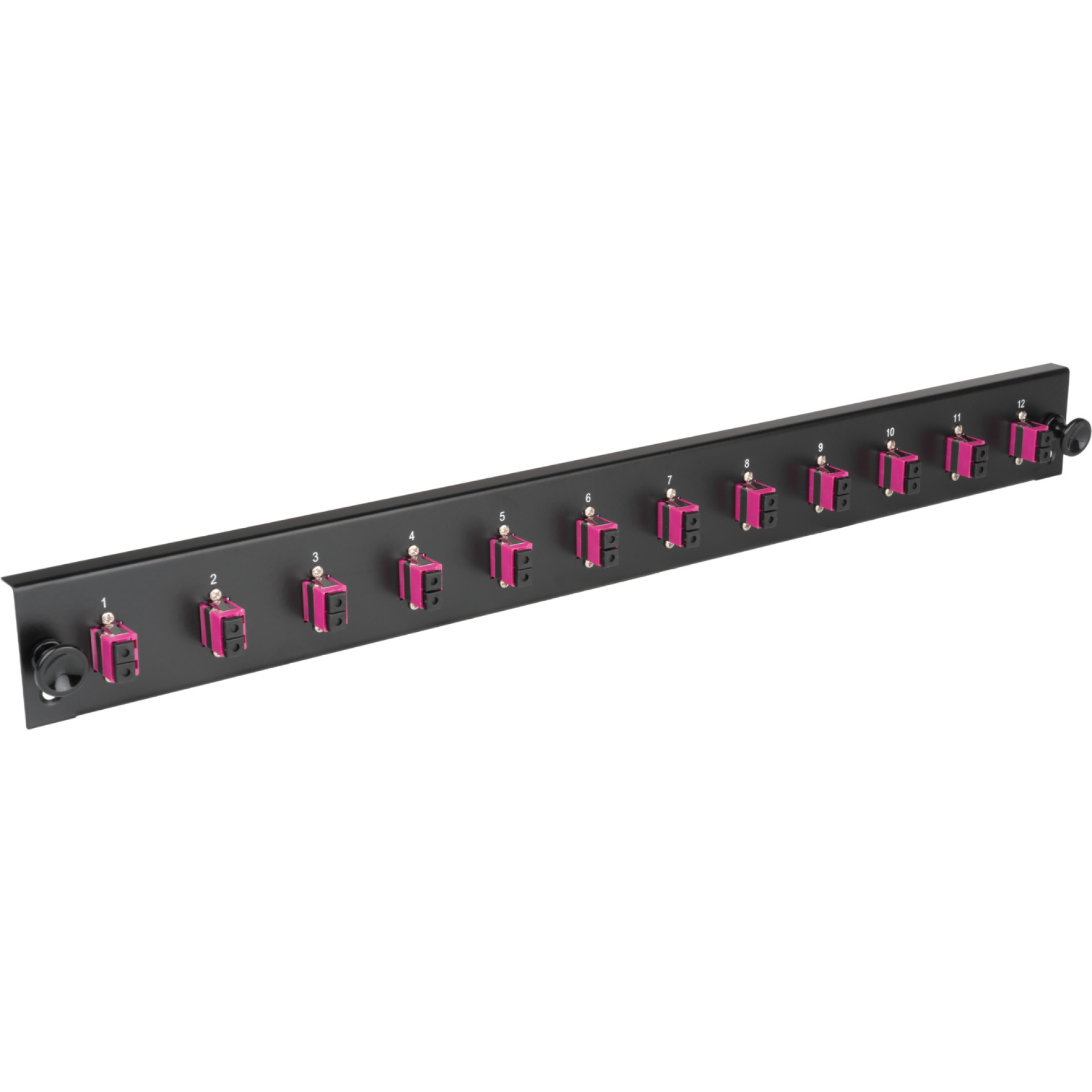 Equipped Front Panel with 12 x LC Duplex Adapter OS2, black