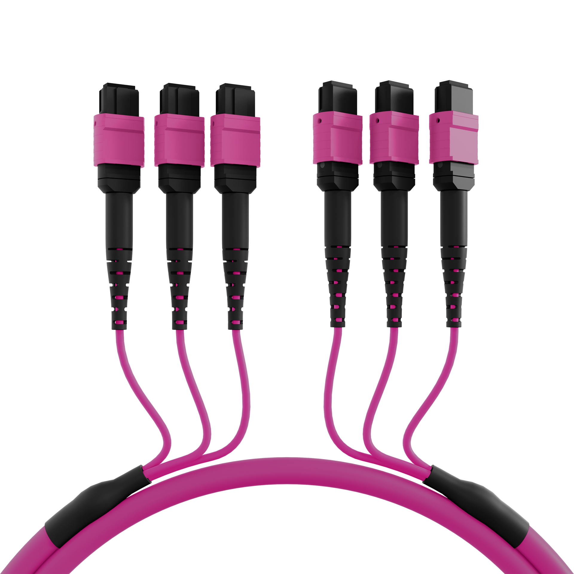 MTP®(F)-MTP®(F) Patch cable OM4 48 fibers Typ A LSZH erica-violet 30m