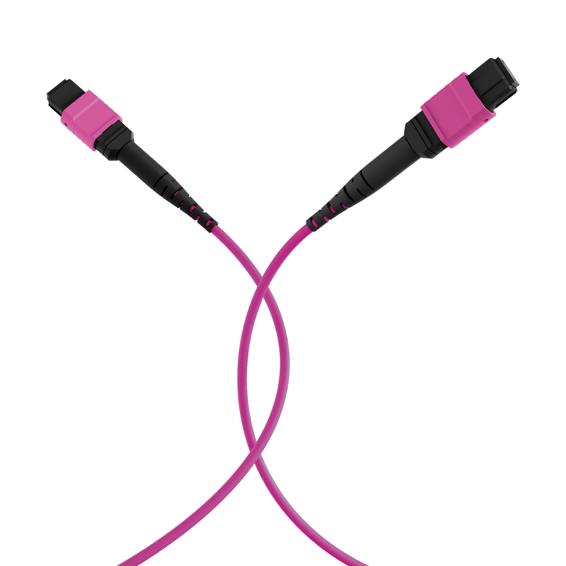 MTP®(F)-MTP®(F) Patch cable OM4 12 fibers Typ A LSZH erica-violet 1m
