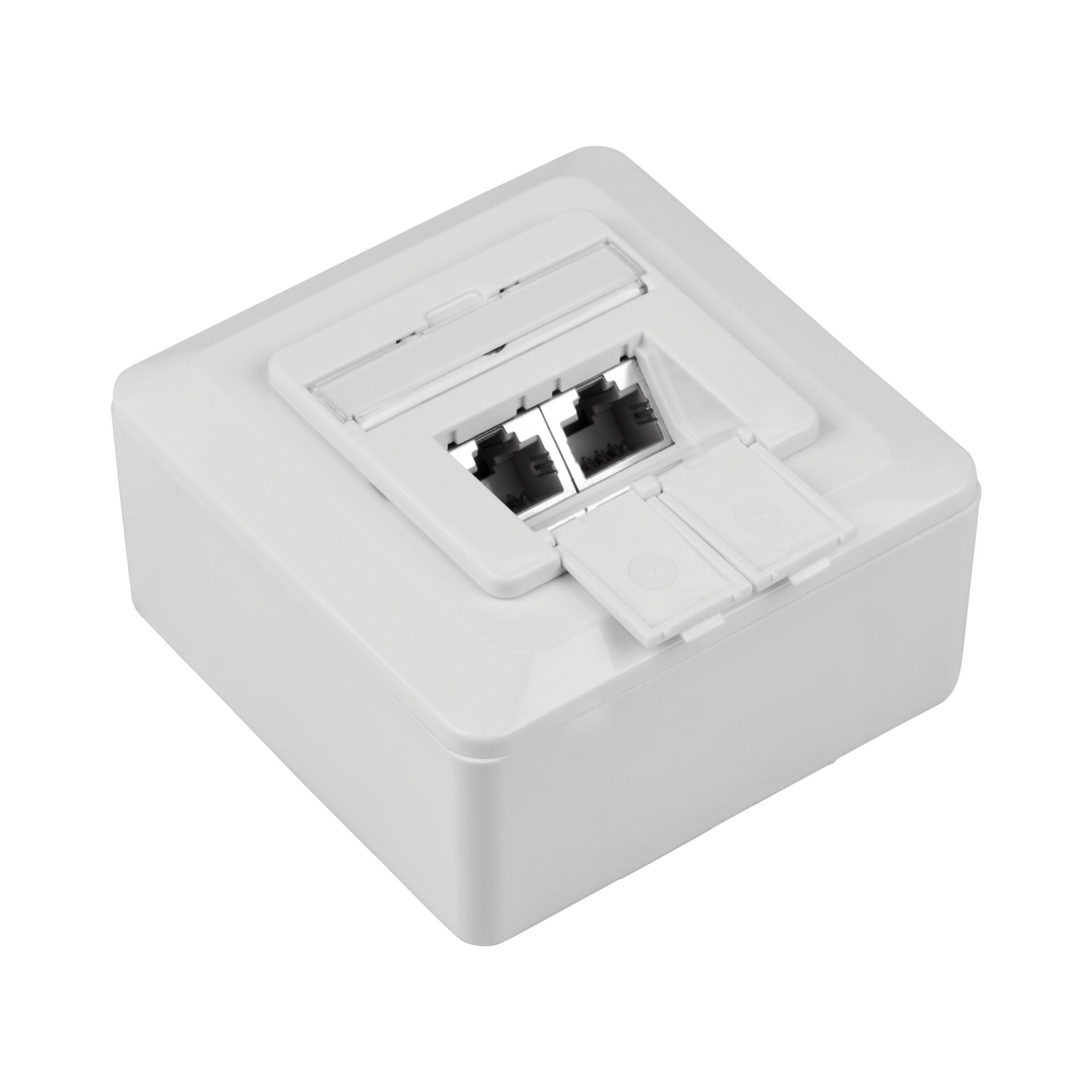Data outlet Cat.6A 500MHz, Surface, 2xRJ45, RAL9010