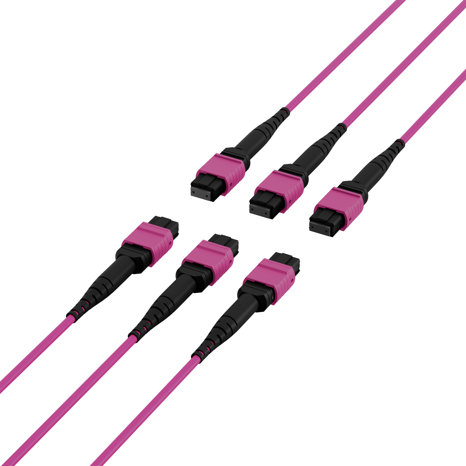 MTP®(F)-MTP®(F) Patch cable OM4 72 fibers Typ A LSZH erica-violet 5m