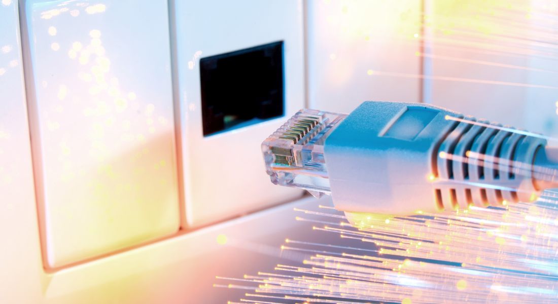 Patchkabel kurz vorm Einstecken Patchkabel kurz vorm Einstecken