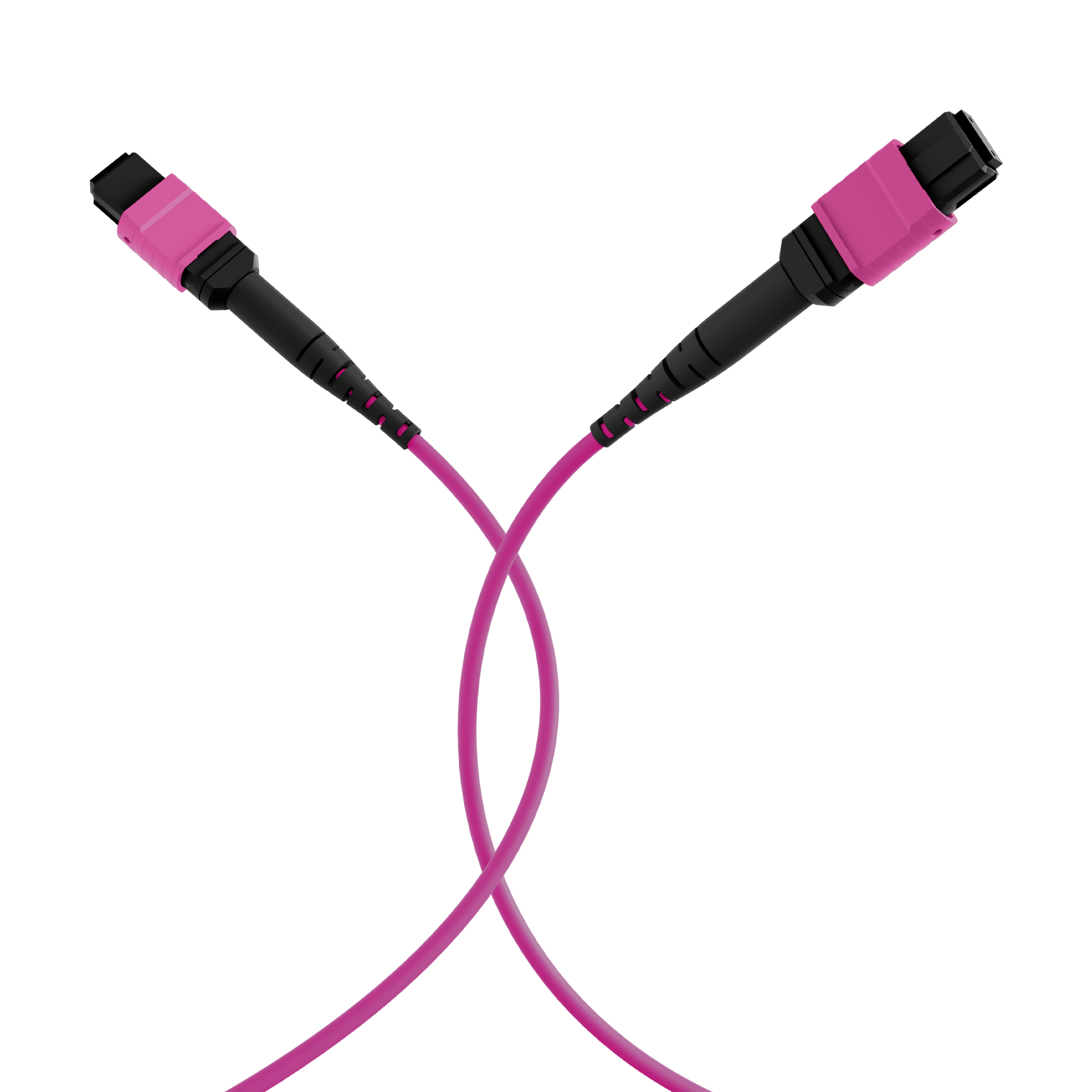 MTP®(F)-MTP®(F) Patch cable OM4 12 fibers Typ B LSZH erica-violet 0,5m 