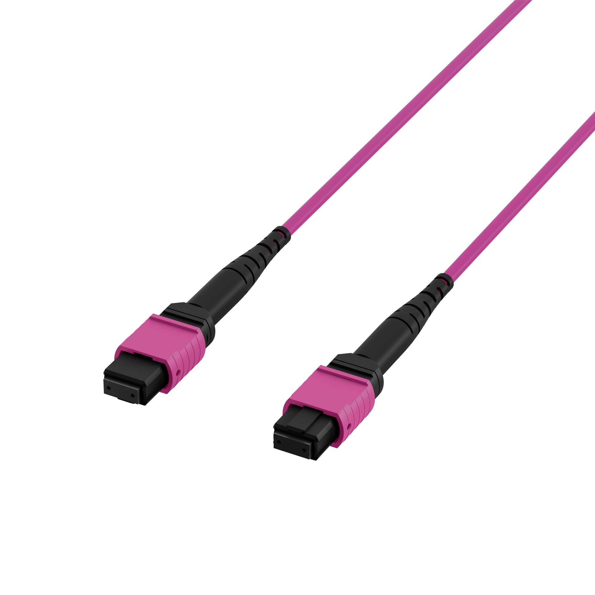 MTP®(F)-MTP®(F) Patch cable OM4 12 fibers Typ A LSZH erica-violet 1m