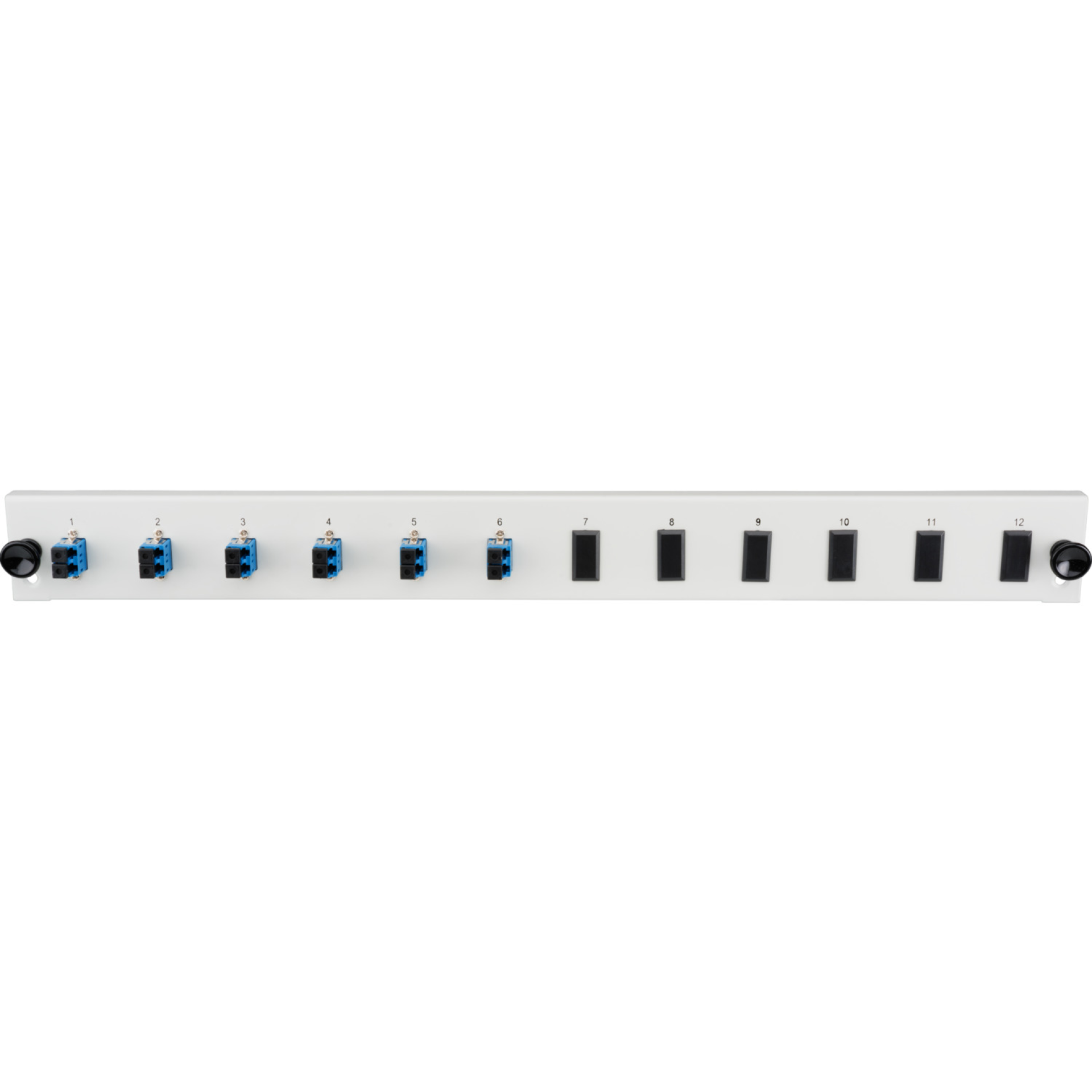 Equipped Front Panel with 12 x SC Duplex Adapter OM3 vertical, black