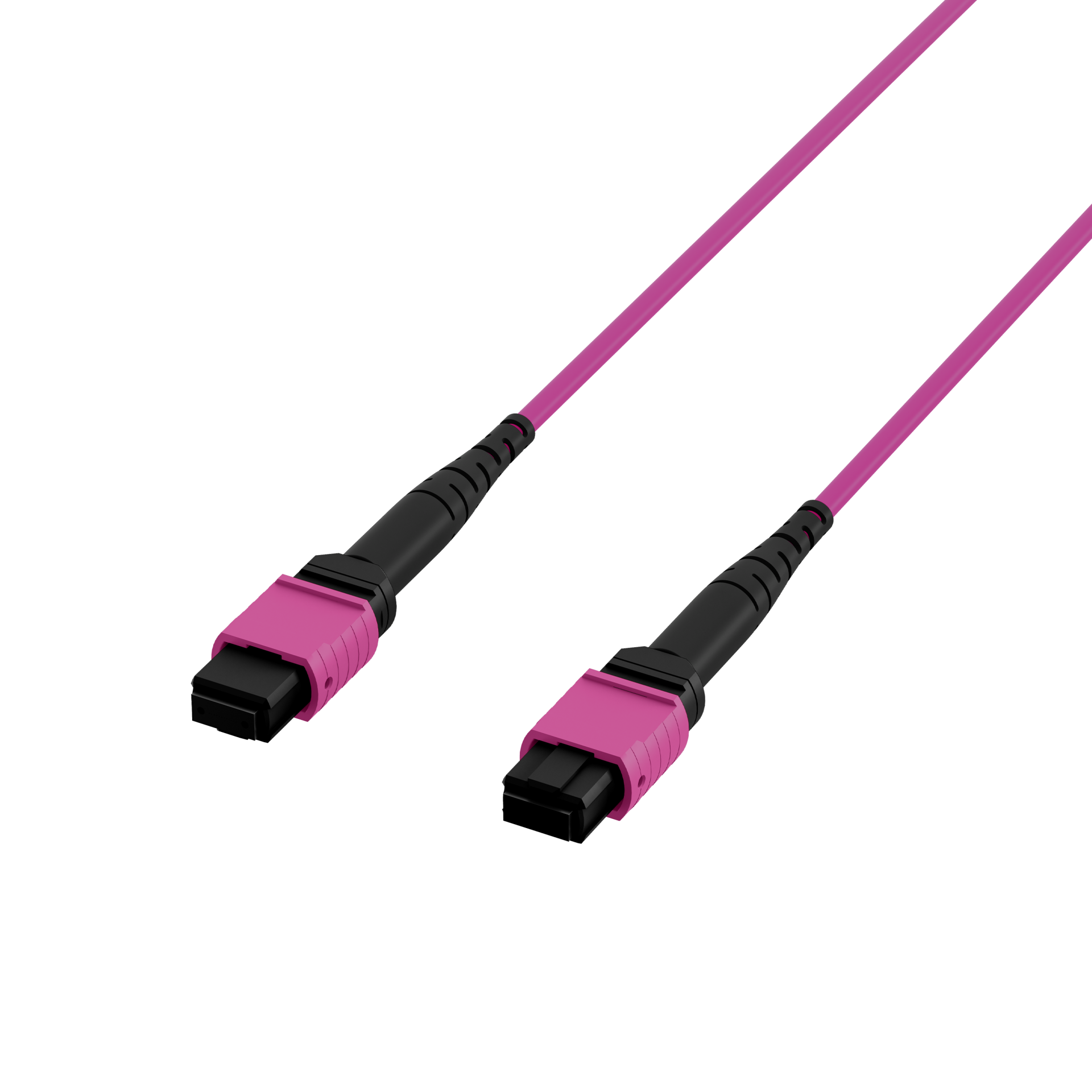 MTP®(F)-MTP®(F) Patch cable OM4 12 fibers Typ B LSZH erica-violet 7,5m